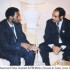 twekel-meles