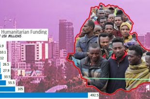 Awate Team Archives Awate Com