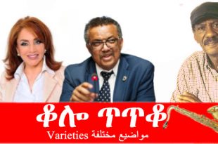 ትግርኛ Archives Page 3 Of 11 Awate Com