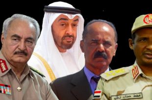 Gedab News Archives Awate Com