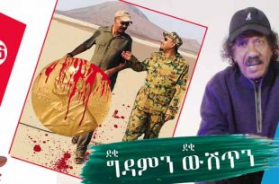 ትግርኛ Archives Awate Com