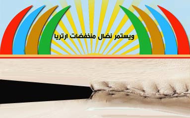 An Initiative to Rally the Eritrean Lowland Societies