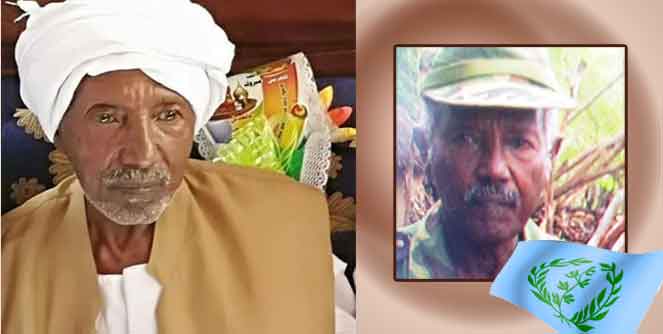 Hamid Mahmoud: Another Hero Buried In Exile