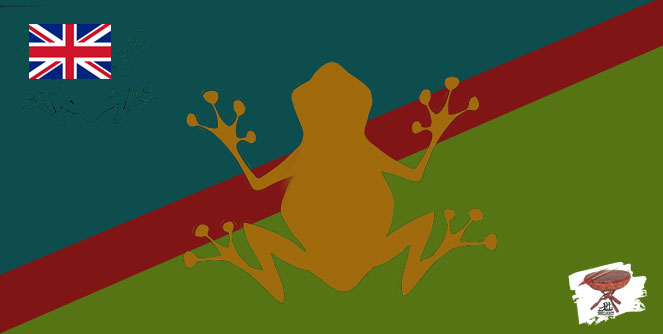 The Endangered Brown Frog Of Eritrea