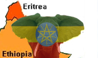Ethiopia: the Elephant in the Room