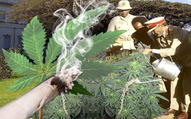 Haile Sellasie’s Cannabis