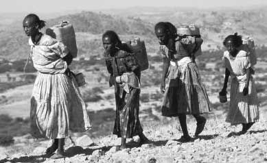 Awate Forum Harvest: Emancipation Of Eritrean Women