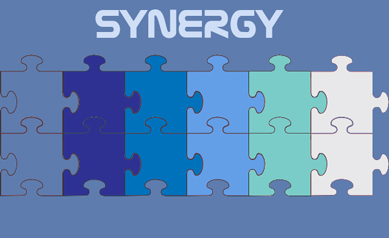 synergy counseling geneva il