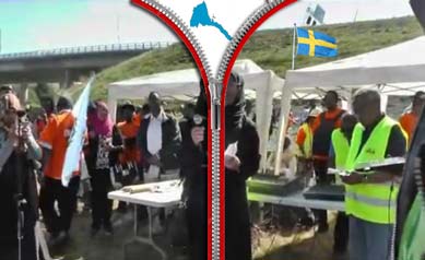 Eritreans In Sweden Demonstrate Against Tyranny