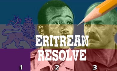 Calling For An Eritrean Resolve