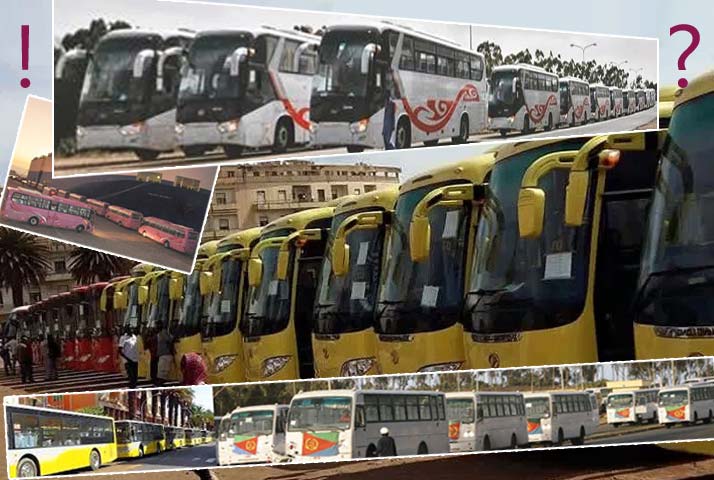 Eritrean Economy: Transportation Crisis And Turf War