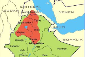 What Ethiopian-Eritrean 