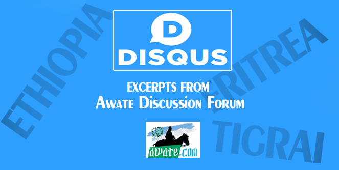 Excerpts From Awate Discussion Forum