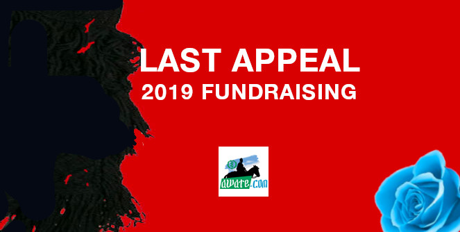 Last Appeal: 2019 Fundraising Campaign