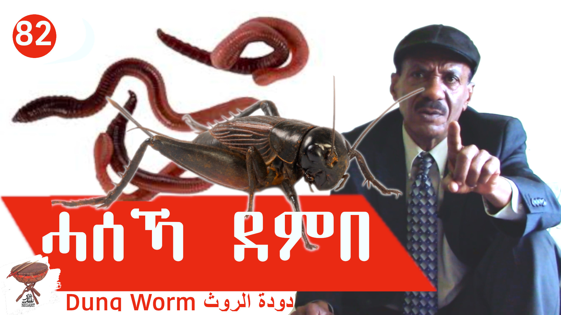 Negarit 82: ሓሰኻ ደምበ – Dung Worm – دودة الروث