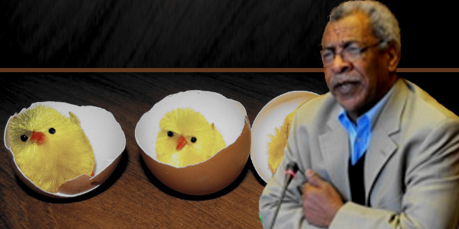 Mesfin Hagos: Before the Egg Hatches