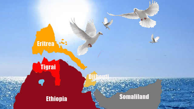 Discourse on Eritrea-Tigray Through Personal Praxis