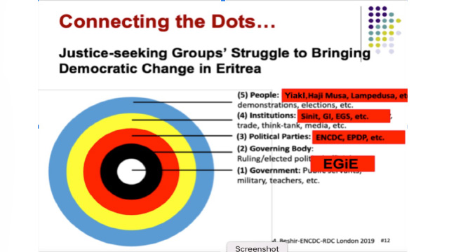 National Integrative Council of Eritrea-USA  