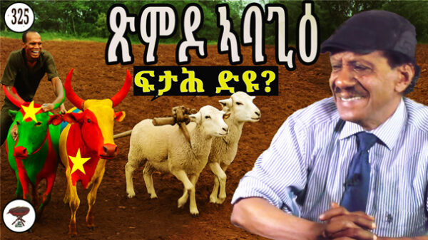 Negarit: 325: Is’t Time for Another Cyclical War in the Horn of Africa?