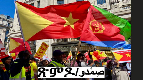 صِمْدو : مقاربة جديدة للسلام، أم مناورة سياسية ؟